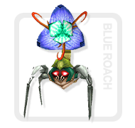 블루로치플